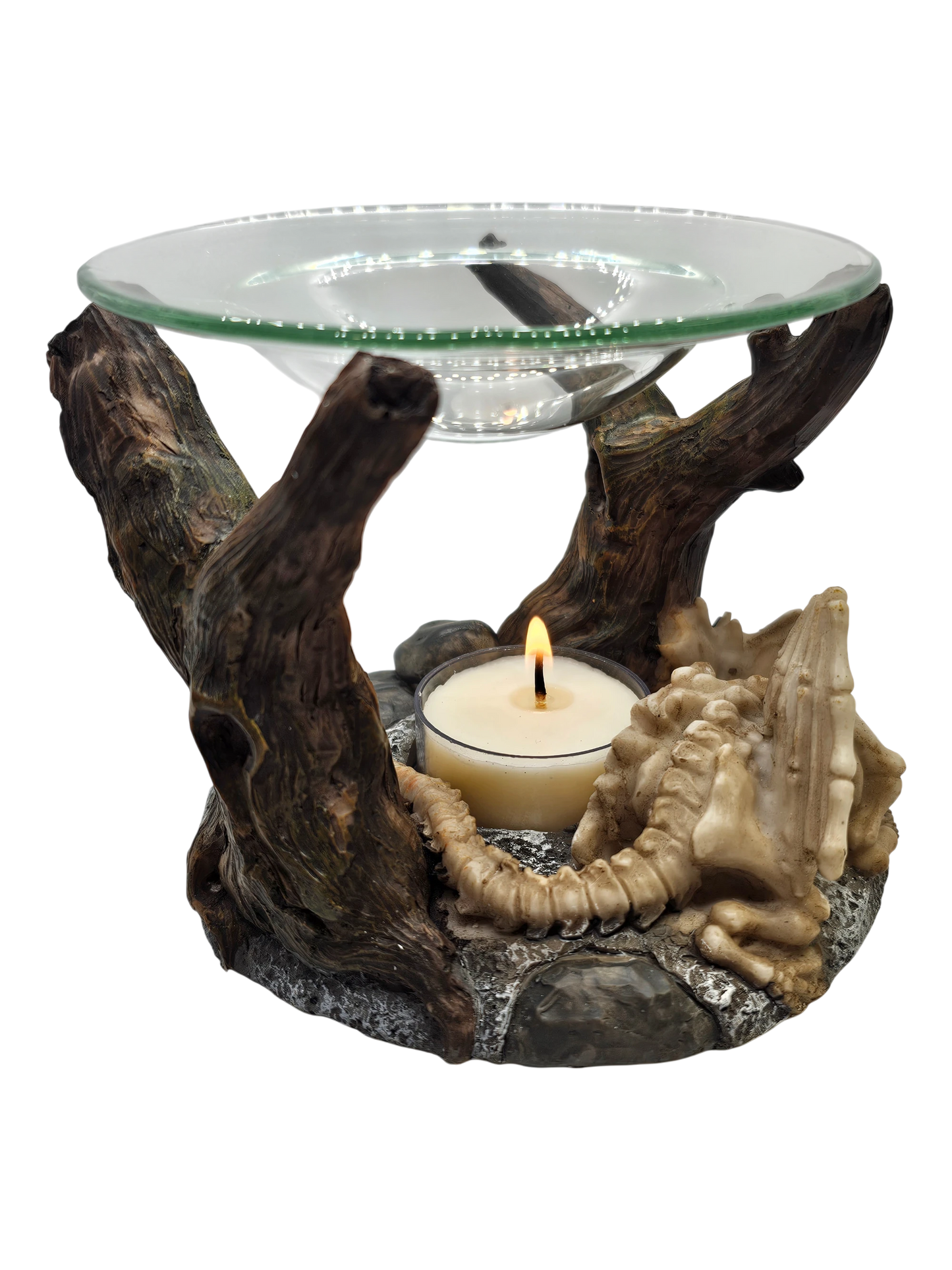 Oil Burner Dragon Bones Sleeping with Glass Dish